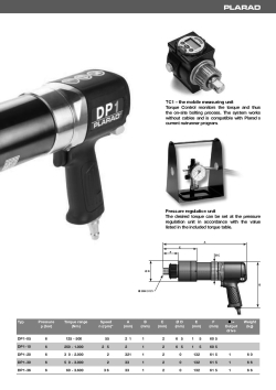 dp1.pdf